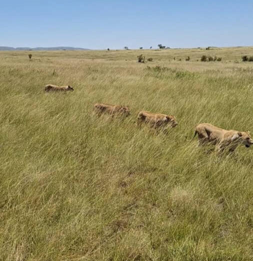 Queen Elizabeth National Park