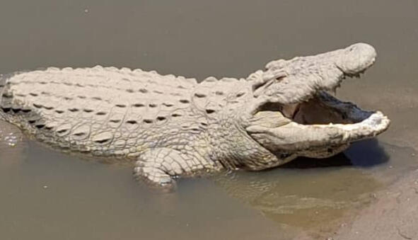 Queen Elizabeth National Park